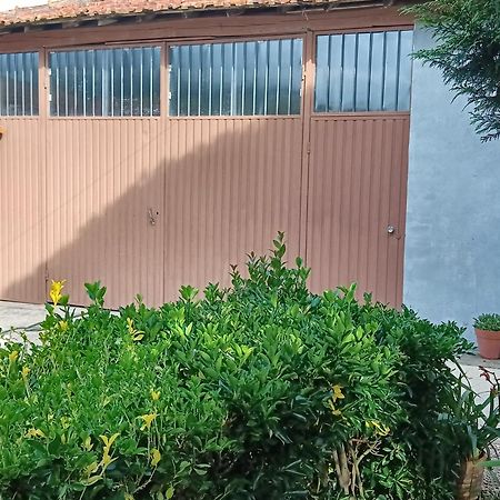 Casa Da Vovo Ceu - Casa De Campo Gandaresa - Country House, Entre Coimbra E Aveiro, A 15 Minutos Carro Praia Mira - Quintal Com Piscina Insuflavel Cantanhede Zewnętrze zdjęcie
