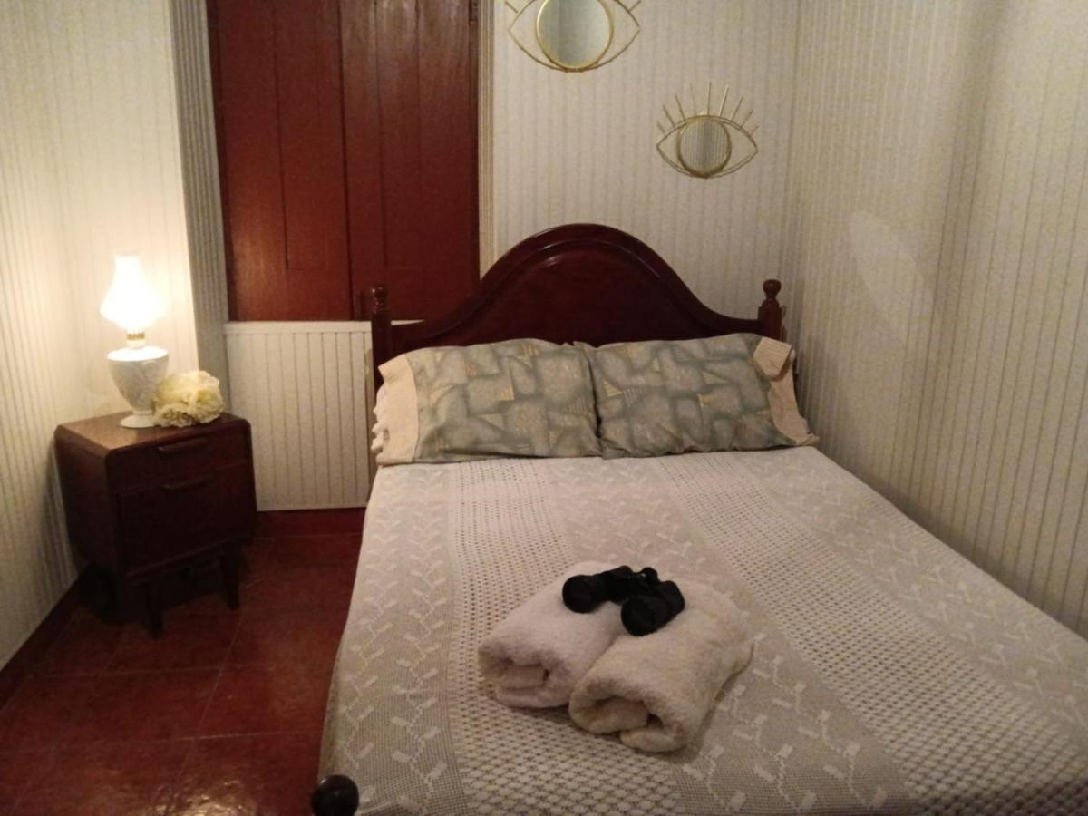 Casa Da Vovo Ceu - Casa De Campo Gandaresa - Country House, Entre Coimbra E Aveiro, A 15 Minutos Carro Praia Mira - Quintal Com Piscina Insuflavel Cantanhede Zewnętrze zdjęcie